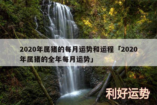 2020年属猪的每月运势和运程及2020年属猪的全年每月运势