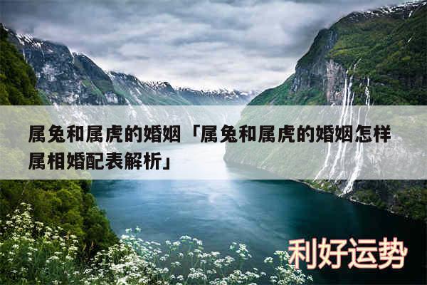 属兔和属虎的婚姻及属兔和属虎的婚姻怎样 属相婚配表解析