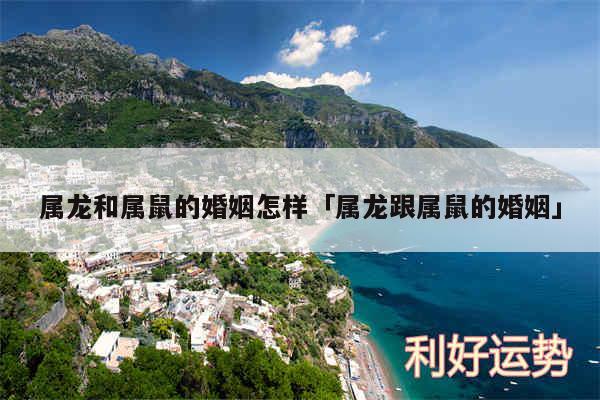 属龙和属鼠的婚姻怎样及属龙跟属鼠的婚姻