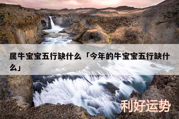 属牛宝宝五行缺什么及今年的牛宝宝五行缺什么