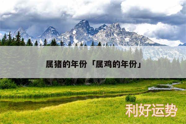 属猪的年份及属鸡的年份