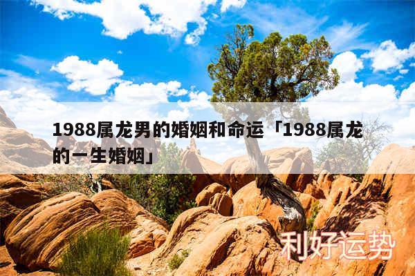 1988属龙男的婚姻和命运及1988属龙的一生婚姻