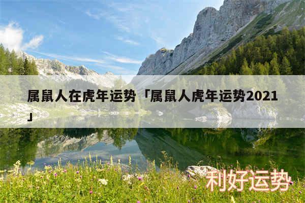 属鼠人在虎年运势及属鼠人虎年运势2024