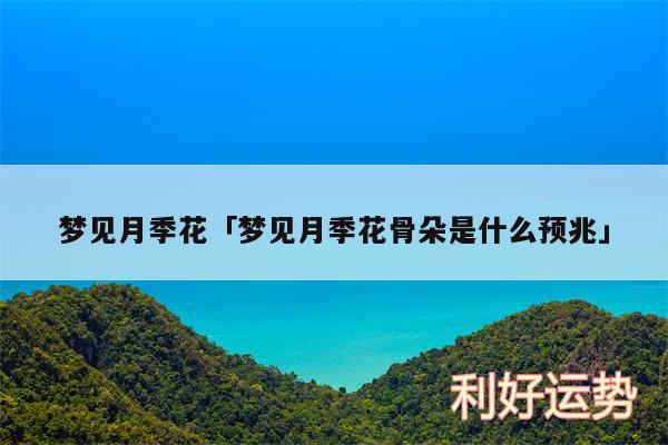 梦见月季花及梦见月季花骨朵是什么预兆
