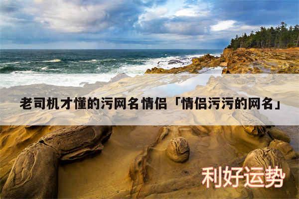 老司机才懂的污网名情侣及情侣污污的网名