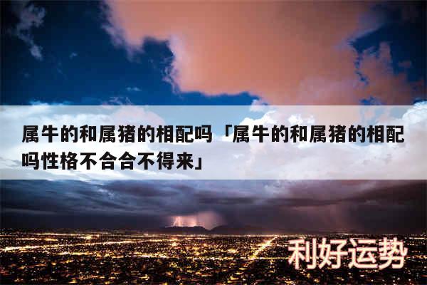 属牛的和属猪的相配吗及属牛的和属猪的相配吗性格不合合不得来