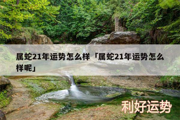 属蛇21年运势怎么样及属蛇21年运势怎么样呢