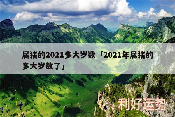 属猪的2024多大岁数及2024年属猪的多大岁数了