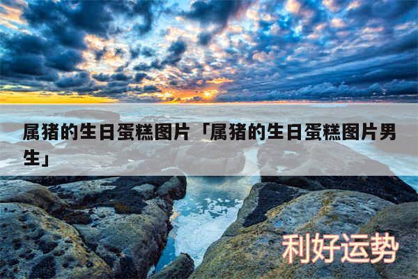 属猪的生日蛋糕图片及属猪的生日蛋糕图片男生