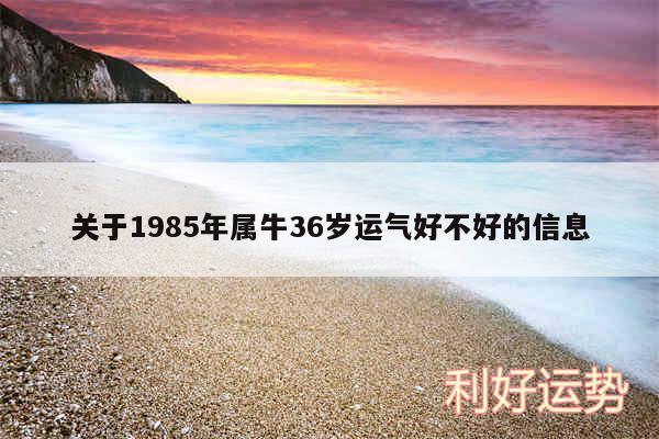 关于1985年属牛36岁运气好不好的信息