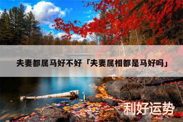 夫妻都属马好不好及夫妻属相都是马好吗