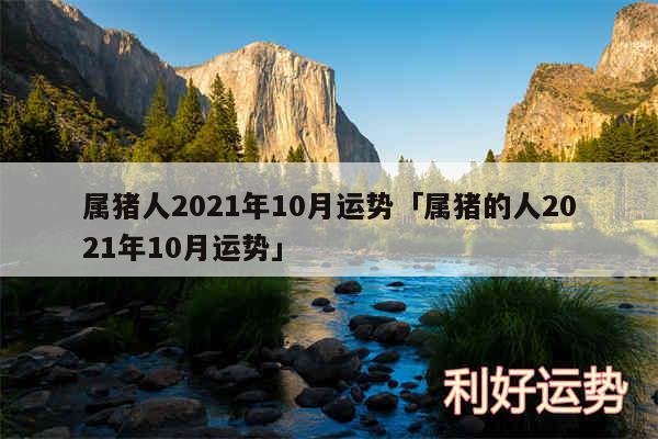 属猪人2024年10月运势及属猪的人2024年10月运势