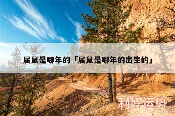 属鼠是哪年的及属鼠是哪年的出生的