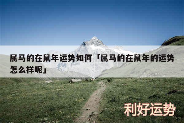 属马的在鼠年运势如何及属马的在鼠年的运势怎么样呢