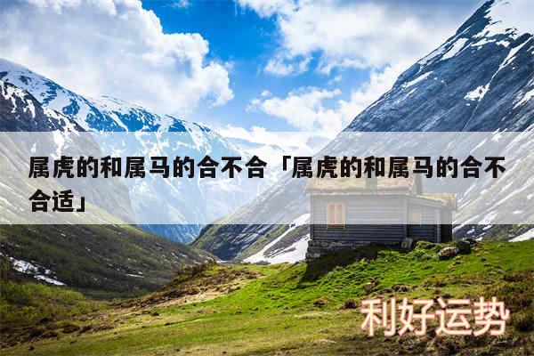 属虎的和属马的合不合及属虎的和属马的合不合适
