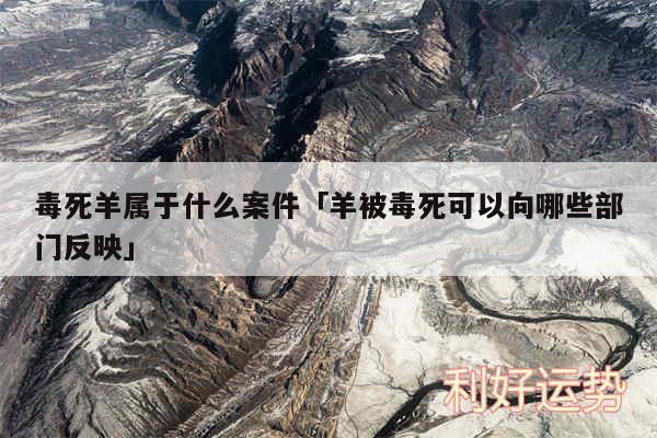 毒死羊属于什么案件及羊被毒死可以向哪些部门反映