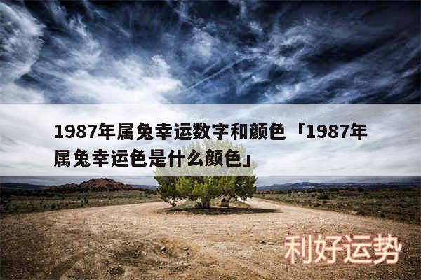 1987年属兔幸运数字和颜色及1987年属兔幸运色是什么颜色