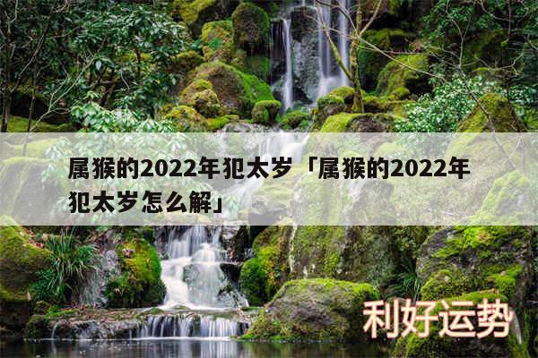 属猴的2024年犯太岁及属猴的2024年犯太岁怎么解