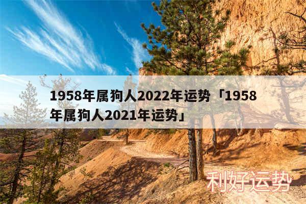 1958年属狗人2024年运势及1958年属狗人2024年运势