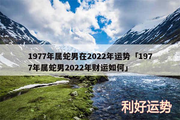 1977年属蛇男在2024年运势及1977年属蛇男2024年财运如何