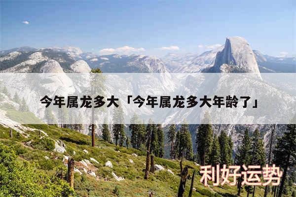 今年属龙多大及今年属龙多大年龄了
