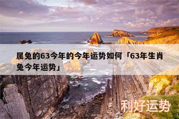 属兔的63今年的今年运势如何及63年生肖兔今年运势