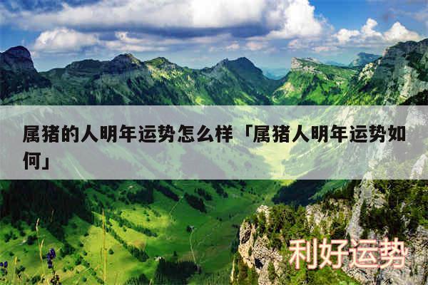 属猪的人明年运势怎么样及属猪人明年运势如何
