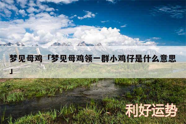 梦见母鸡及梦见母鸡领一群小鸡仔是什么意思