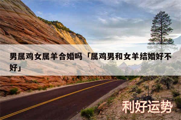 男属鸡女属羊合婚吗及属鸡男和女羊结婚好不好