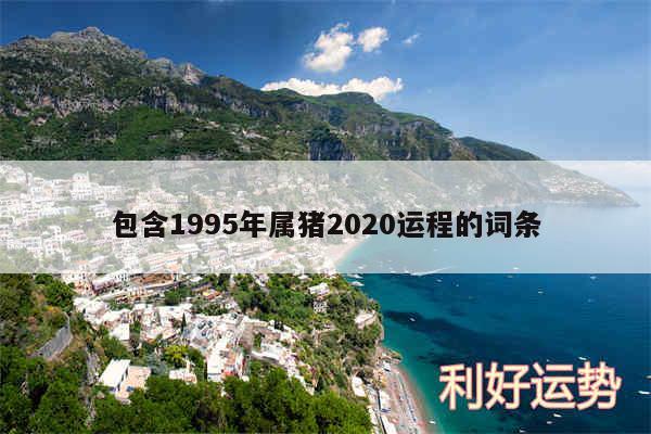 包含1995年属猪2020运程的词条