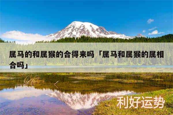 属马的和属猴的合得来吗及属马和属猴的属相合吗