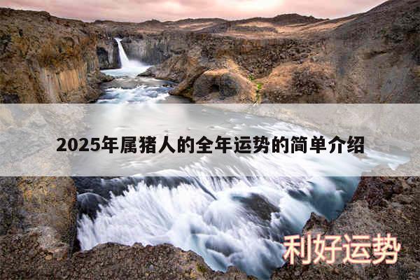 2025年属猪人的全年运势的简单介绍