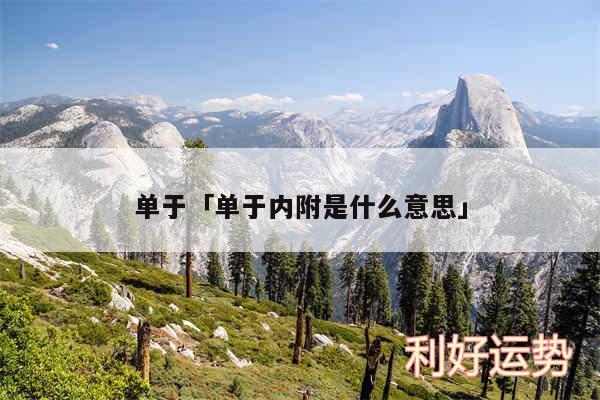 单于及单于内附是什么意思