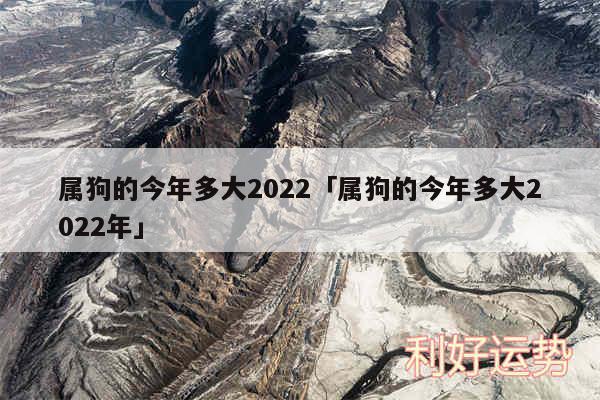 属狗的今年多大2024及属狗的今年多大2024年