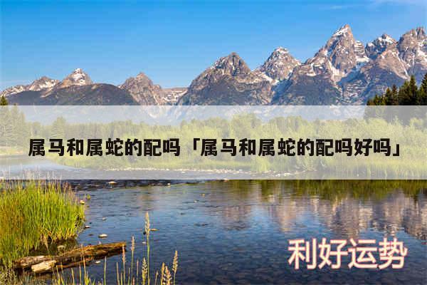 属马和属蛇的配吗及属马和属蛇的配吗好吗