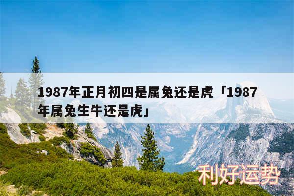 1987年正月初四是属兔还是虎及1987年属兔生牛还是虎