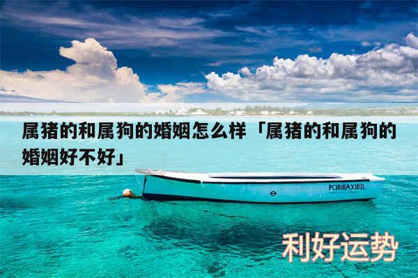 属猪的和属狗的婚姻怎么样及属猪的和属狗的婚姻好不好