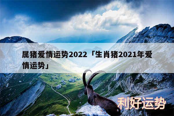 属猪爱情运势2024及生肖猪2024年爱情运势