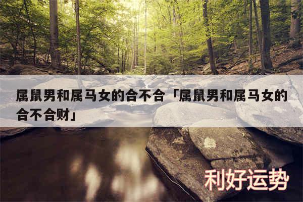 属鼠男和属马女的合不合及属鼠男和属马女的合不合财