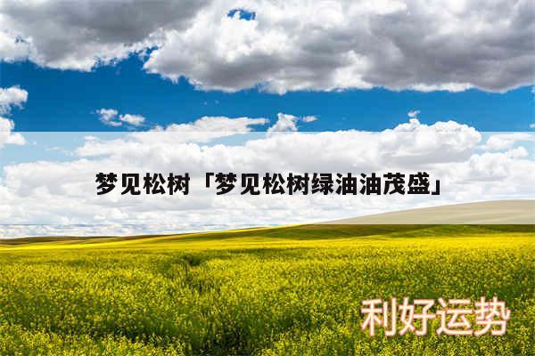 梦见松树及梦见松树绿油油茂盛