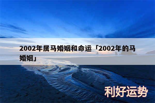 2002年属马婚姻和命运及2002年的马婚姻