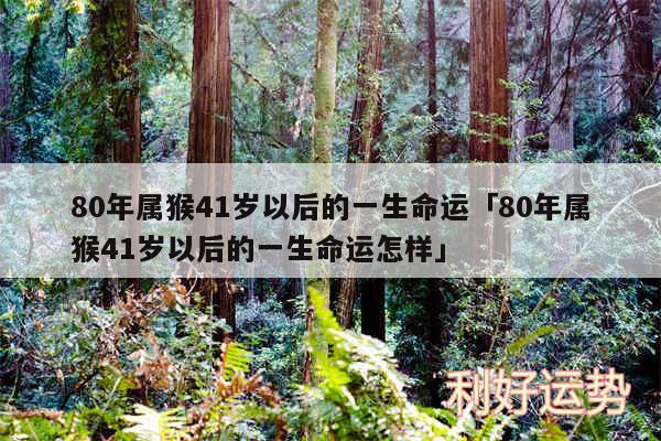 80年属猴41岁以后的一生命运及80年属猴41岁以后的一生命运怎样