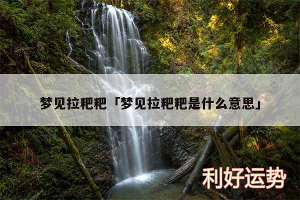 梦见拉粑粑及梦见拉粑粑是什么意思