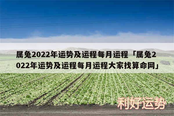 属兔2024年运势及运程每月运程及属兔2024年运势及运程每月运程大家找算命网