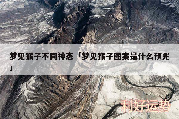 梦见猴子不同神态及梦见猴子图案是什么预兆