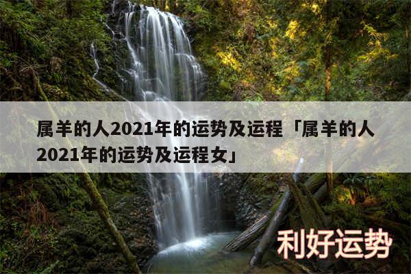 属羊的人2024年的运势及运程及属羊的人2024年的运势及运程女