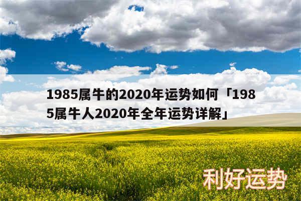1985属牛的2020年运势如何及1985属牛人2020年全年运势详解