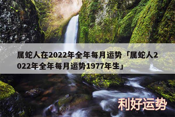 属蛇人在2024年全年每月运势及属蛇人2024年全年每月运势1977年生