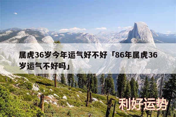 属虎36岁今年运气好不好及86年属虎36岁运气不好吗