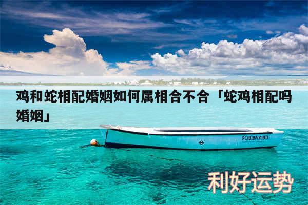 鸡和蛇相配婚姻如何属相合不合及蛇鸡相配吗婚姻